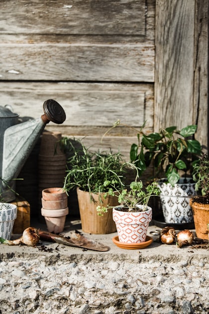 Creating a Pollinator-Friendly Garden